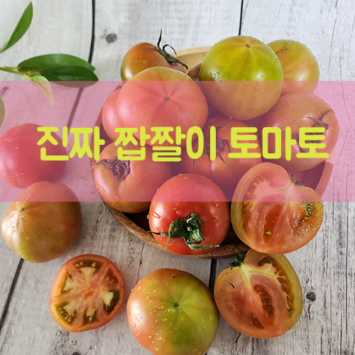 정품 대저 짭짤이 토마토 2.5kg